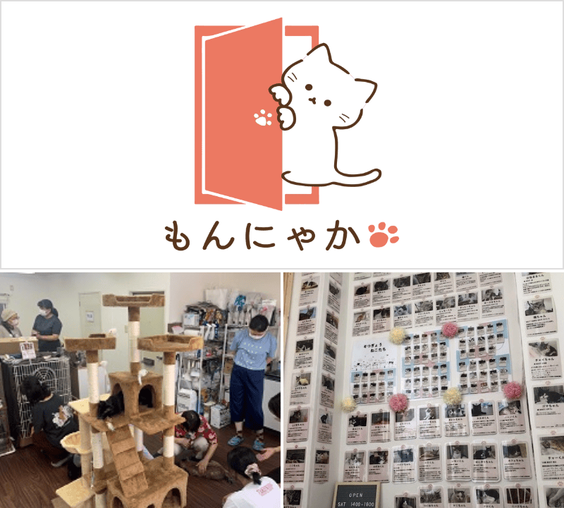 「江東ねこの会」さんが運営する譲渡型保護猫サロン「もんにゃか」