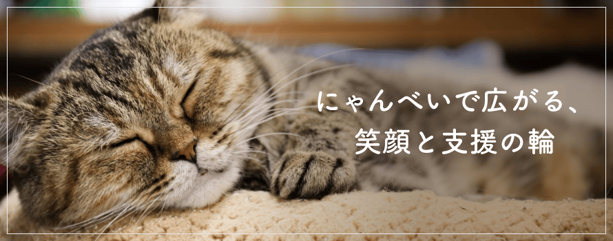 にゃんべいで広がる、笑顔と支援の輪