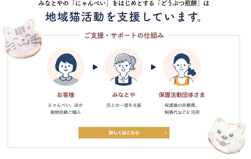 地域猫活動