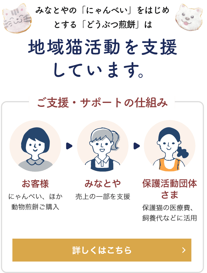 地域猫活動
